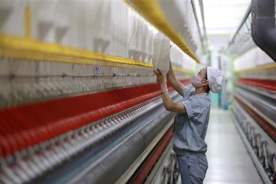 智能制造助提质增效，驱动进出口高质量发展